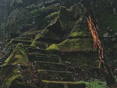 -山王坪喀斯特国家生态公园