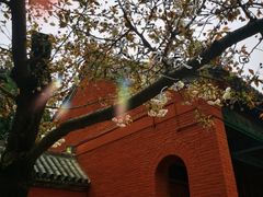 -洛阳白马寺