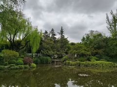 -秋霞圃