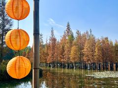 -白鹭湾湿地公园