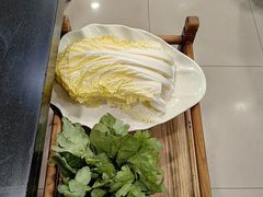 -芦月轩羊蝎子(北蜂窝店)