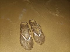 -西秀海滩公园