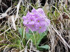 -天燕原始生态旅游区-天门垭景区