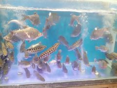 -盒马鲜生(悠方店)