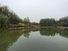 -仁和公园(顺义区)