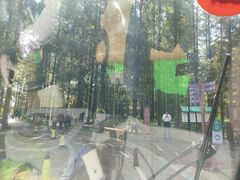 -黄海国家森林公园