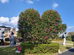 -东莞植物园
