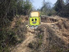 -青龙山国家森林公园