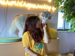 -Husky Go! 哈士奇体验馆·宠物咖啡厅狗咖