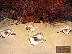 -北海·海洋之窗