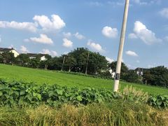 -渔娘蟹庄(阳澄湖莲花岛店)