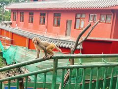 -黔灵山公园