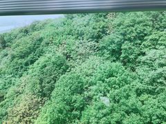 -紫金山索道-售票处