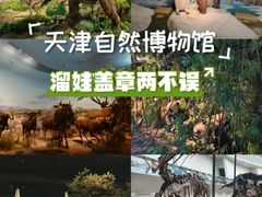 -天津自然博物馆