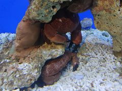 -海合安武汉极地海洋公园