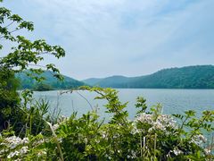 -南京市无想山景区