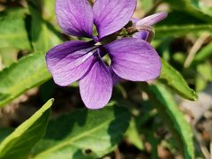 -天津东丽湖风景区