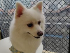 -怪兽屋·羊驼·猫咖·狗咖(俊华广场店)