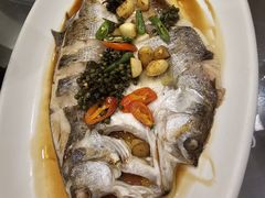 -津菜宋记老房子(鼓楼店)