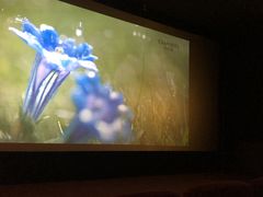 -UME影城(安贞DTS:X店)