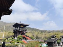 -大唐贡茶院