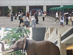 -深圳博物馆历史民俗馆