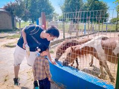 -武汉紫薇都市田园