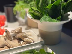 -九鼎轩脆毛肚火锅(南京东路店)