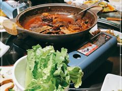 -火焰金龟甲(汉阳江滩旗舰店)