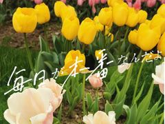 -大宁公园