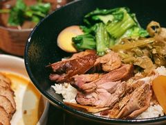 -MR鹅外