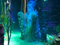 -沈阳海洋探索中心