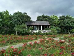 -广东花都香草世界旅游度假区