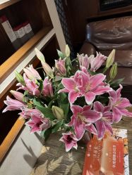 -禾颜社·精致美容