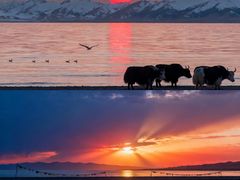 -青海湖国家重点风景名胜区