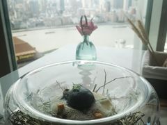 -翡翠36餐厅(浦东香格里拉店)