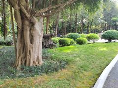 -南宁南湖公园