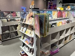 -浣熊唱片店(上海影城店)