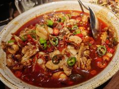 仔姜田鸡-Night Breeze晚风