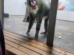 -西安秦岭野生动物园