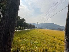 -南北湖风景区