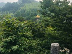 -莫干山风景区