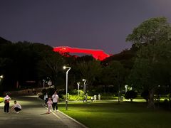 -飞凤山奥体公园