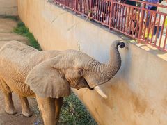 -西霞口神雕山野生动物世界