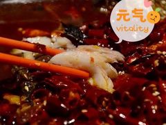 香辣海鲈鱼-老头儿油爆虾(胜利河美食街店)