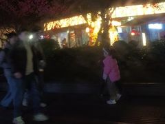 -奎星楼街