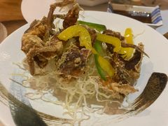 软壳蟹-希望日本料理(保利香槟花园店)