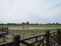 -上海海湾国家森林公园