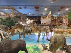 -卡通尼·Safari非洲探索乐园·生日会(金桥国际商业广场店)