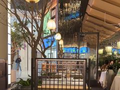 -桂满陇·海市蜃楼·黑金(国金店)